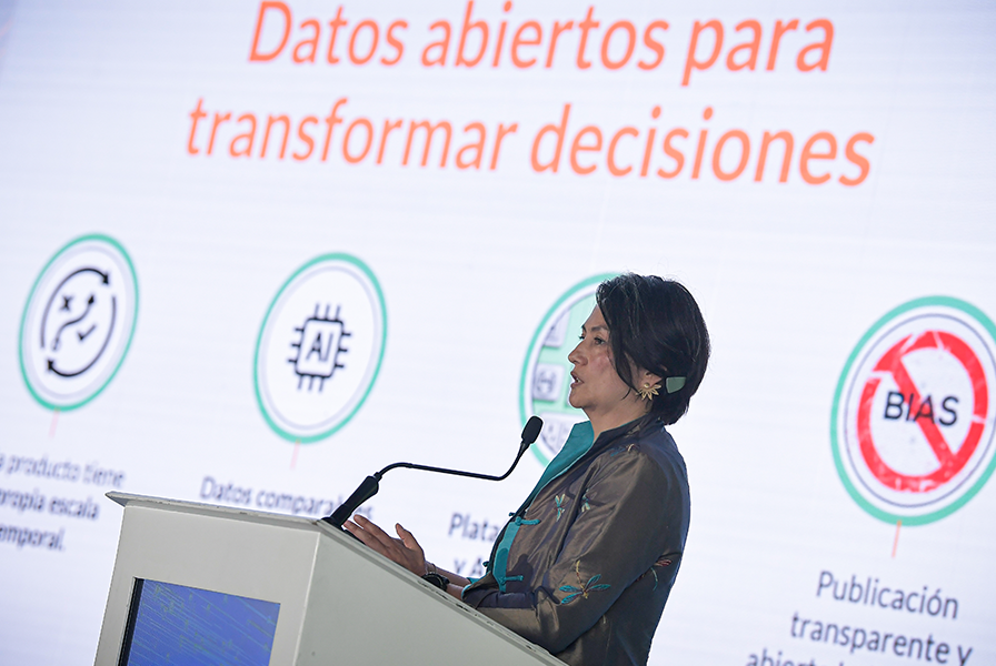 Adriana Rojas en la presentación de la colección 3.0 de MapBiomas Colombia.