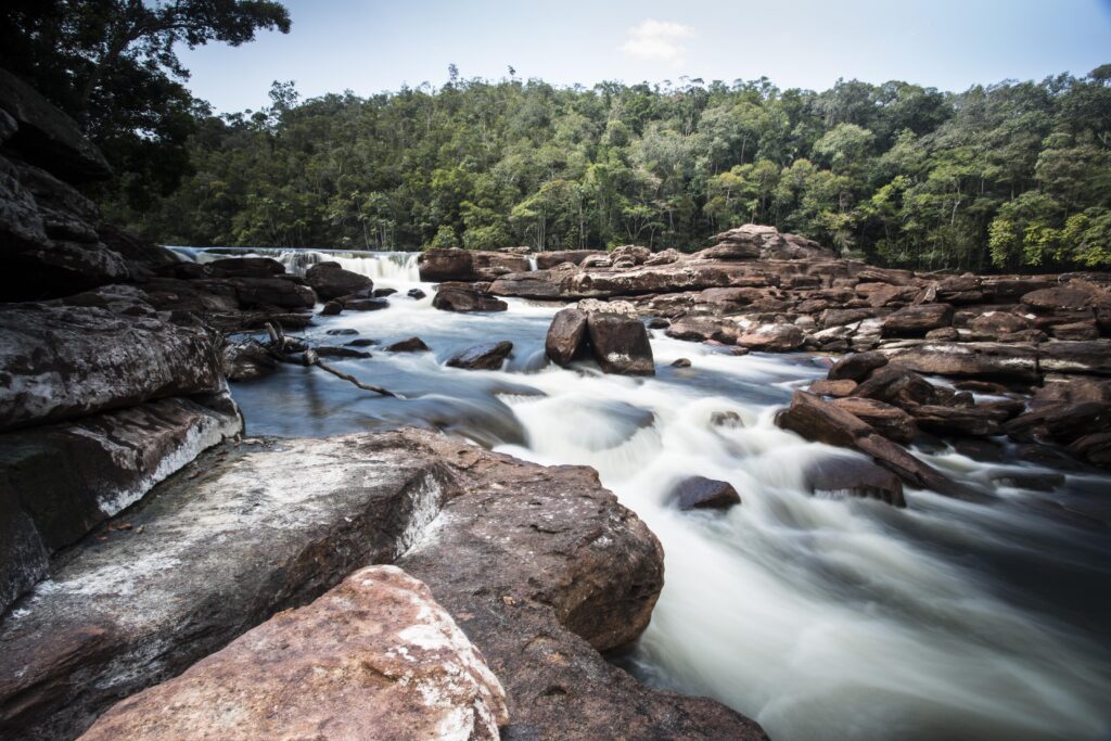 Datos no publicados muestran que los nueve países amazónicos han perdido 1 millón de hectáreas de agua superficial en la última década