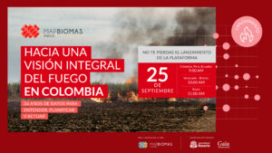 Lanzamiento MapBiomas Fuego: hacia una visión integral del fuego en Colombia