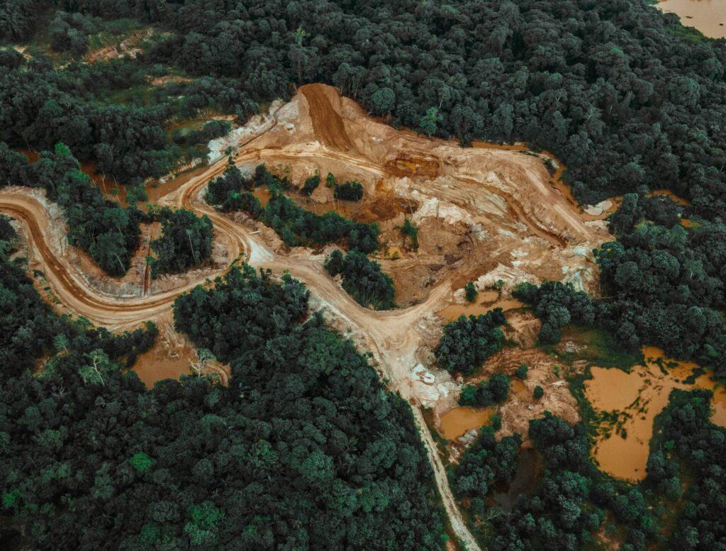 Colombia perdió 5,68 millones de hectáreas de bosques en 40 años, revela la nueva colección 3.0 de MapBiomas Colombia