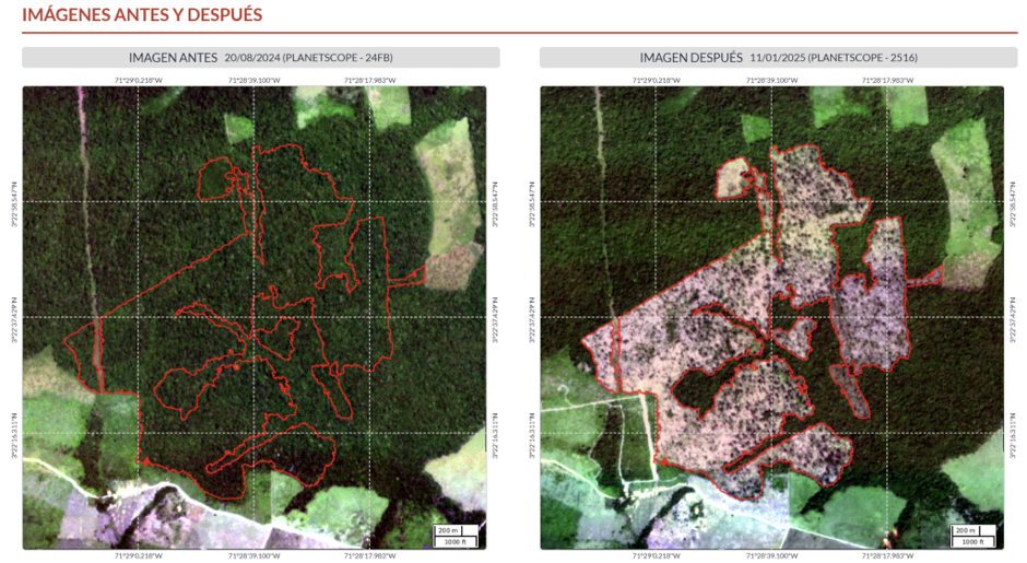 Imágenes Planet antes y después de la deforestación